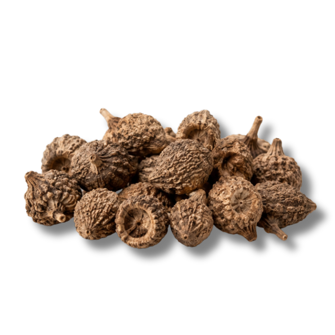 NAGARMOTHA