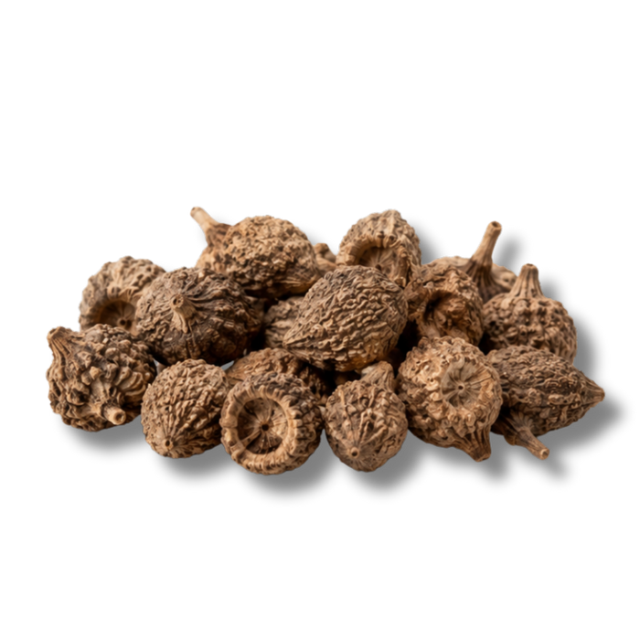 NAGARMOTHA