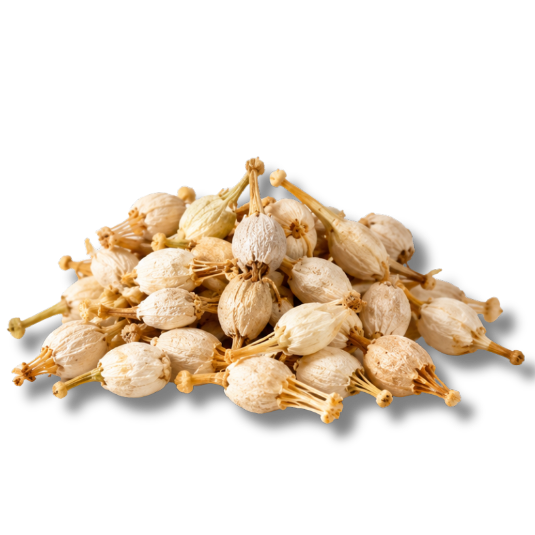 NAGAKESAR